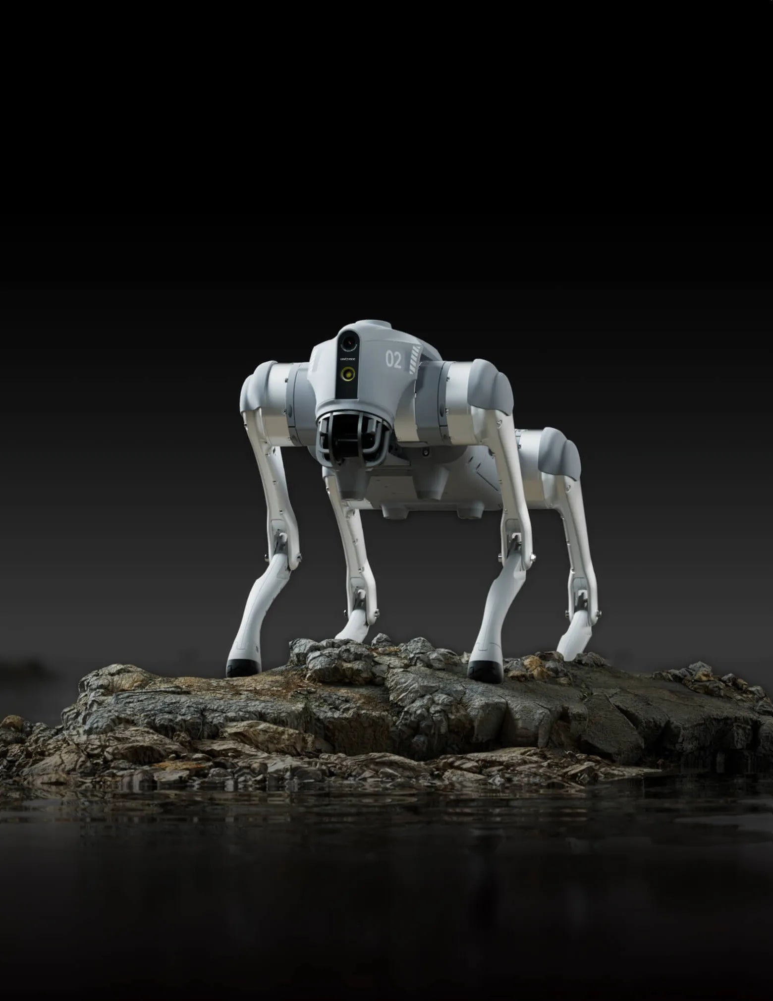 Quadruped Robots